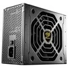 Cougar I GEX 1050 I 31GE105003P01 I PSU I 80plus Gold / Visiškai modulinis / 1050 W