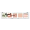 Catrice Allround maskuoklis 010 6g