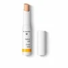 Maskuojamoji priemonė Dr. Hauschka, 01 Natural