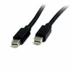 Kabelis StarTech Rodyti Port Mini - DisplayPort Mini 2m Juodas (MDISP2M)