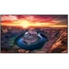 Monitorius Samsung QM43B-T, 43"