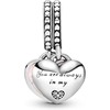 Charms Pandora 792072EN40