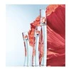 Kenzo Flower By Kenzo Eau De Toilette, 50 ml