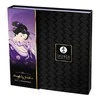 Shunga - Naughty Geisha Kit