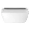 Lubinis šviestuvas Plafoninis šviestuvas Philips Mauve 3111031P3, 17W, LED