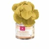 Cristalinas oro gaiviklis 0 apelsinų žiedų ir mandarinų 40 ml