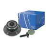 SKF Ratų Guolio Rinkinys Audi A3 A4 A6 Q3 VW Golf Passat Tiguan 3B0 609 301 3B0 609 301A 3B0 609 301B