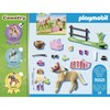70521 PLAYMOBIL, kolekcinis lenktyninis ponis
