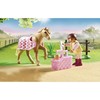 70521 PLAYMOBIL, kolekcinis lenktyninis ponis