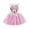 CERDÁ "Inca Fantasia Minnie Lot" 2 dalys