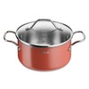 Tefal TRADICINIS NERŪDIJANČIO PLIENO NELIPAUS PUODAS 2,9L 20cm