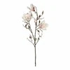 Edelman Dirbtinė gėlė L88cm magnolija/š.rožinė