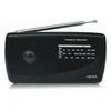 Radio Haeger Radio AM/FM Haeger Handy