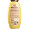 Garnier Original Remedies Avokadų ir taukmedžių šampūnas 600ml