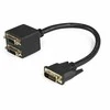 StarTech 0,3m Juodas (DVISPL1DD)