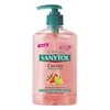 "Sanytol" virtuvinis rankų muilas 250ml