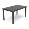 Lauko stalas PROGARDEN SUMATRA 01790, pilkas, 138×80×72 cm