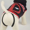 Pc Merch Deadpool - megztinis šuniui | M dydis