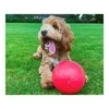 Boomer Ball Šuns žaislas Company of Animals Boomer Mėlyna (250mm)
