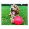Boomer Ball Šuns žaislas Company of Animals Boomer Mėlyna (200mm)