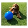 Boomer Ball Šuns žaislas Company of Animals Boomer Mėlyna (200mm)