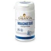Ana Maria Lajusticia Magnis 147 vnt