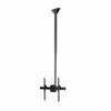 Laikiklis StarTech FLATNLCEIL 32 "- 75" '