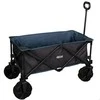 Aktive COLOR BABY 62620 Vežimėlis plażowy