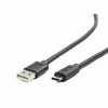 Gembird Cablexpert | USB 2.0 AM–C tipo laidas (AM/CM), 3 m | USB-C–USB-A USB Type-C (kištukas) | USB 2 AM (kištukas)