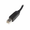 USB kabelis StarTech USB-A - USB-B 1,8 m Juodas (USB2HAB2M)