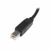 StarTech 2M USB 2.0 KABELIS A TO B – M/M/.