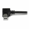 StarTech 2M RIGHT ANGLE USB B CABLE/.