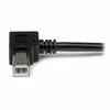 StarTech 2M RIGHT ANGLE USB B CABLE/.