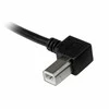 Kabelis USB StarTech USB-A - USB-B 3 m Juodas (USBAB3ML)