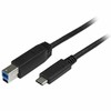USB kabelis StarTech USB-C - USB-B 2 m Juodas (USB315CB2M)