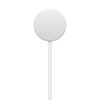 Išmaniųjų laikrodžių Apple magnetinis įkroviklis USB-C, Baltos spalvos, 1m