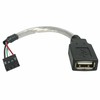 StarTech USB adresas - USB atgal, Juoda (USBMBADAPT)