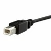 StarTech.com USB 2.0 Panel Mount Kabelis B/B USB kabelis 0,3 m USB B Juoda