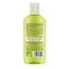 Dr. organic Dr.Organic arbatmedžio šampūnas 265ml