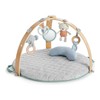 Ingenuity Toys INGENUITY veiklos kilimėlis Cozy Spot, 12126