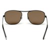 Akiniai WEB EYEWEAR WE0199-02G. Akiniai przeciwsłoneczne, Kolor juoda. Mężczyzna.
