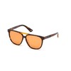 Akiniai WEB EYEWEAR WE0263-5956J. Akiniai przeciwsłoneczne, Kolor ruda. Unisex.