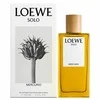 Loewe Solo Mercurio EDP parfumuotas vanduo vyrams, 100 ml