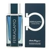 S. Ferragamo F Intense Leather Pour Homme EDP purškiamas vanduo vyrams, 100 ml