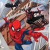Patalynės komplektas SPIDERMAN POWER, 140x200 cm
