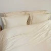 Saules Patalyne PREMIUM satino patalynės komplektas LIGHT Geltonas ROYAL