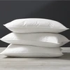 Saules Patalyne Pūkinė pagalvė su tiku EXCLUSIVE ULTRA (žąsų 90%-pūkų, 10%-plunksnų), 70x80 cm (1kg)