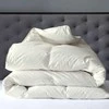 Saules Patalyne Žąsų pūkinė antklodė (70%-pūkų, 30%-plunksnų) su tiku EXCLUSIVE PLUS , 140x200 cm