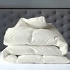 Saules Patalyne Žąsų pūkinė antkldė (70%-pūkų, 30%-plunksnų) su tiku EXCLUSIVE PLUS, 200x220 cm