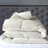 Saules Patalyne Žąsų pūkinė antklodė (70%-pūkų, 30%-plunksnų) su tiku EXCLUSIVE PLUS , 160x200 cm